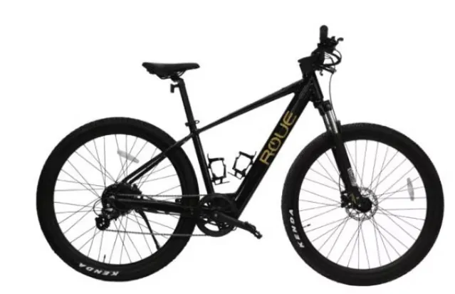 Bicicleta E Bike modelo TEROX  R-29x2.55"