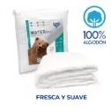 Protector De Colchón Waterproof - Queen size